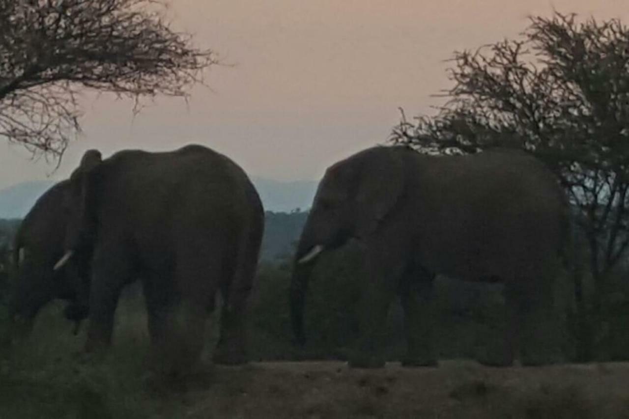 Kubu Khaya Mabalingwe Villa Mabula Game Reserve Eksteriør billede